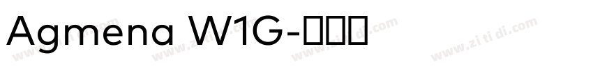Agmena W1G字体转换